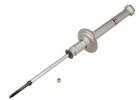 Strut Assembly