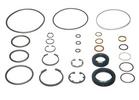 Steering Gear Seal Kit