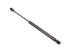 Hatch Strut
