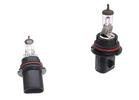 Headlight Bulb