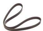 Multi Rib Belt