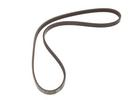 Multi Rib Belt
