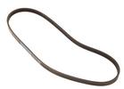 Multi Rib Belt