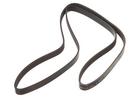 Multi Rib Belt