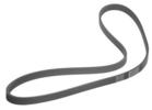 Multi Rib Belt
