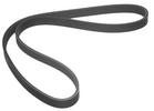 Multi Rib Belt