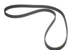 Multi Rib Belt