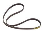 Multi Rib Belt