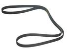 Multi Rib Belt
