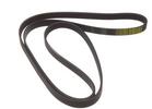 Multi Rib Belt
