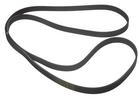 Multi Rib Belt