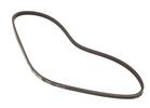 Multi Rib Belt