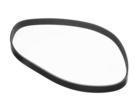 Multi Rib Belt