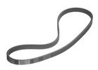 Multi Rib Belt
