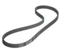 Multi Rib Belt