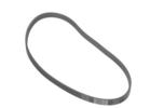 Multi Rib Belt