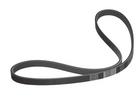 Multi Rib Belt