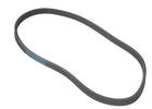 Multi Rib Belt