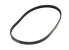 Multi Rib Belt