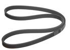 Multi Rib Belt