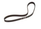 Multi Rib Belt