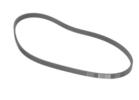 Multi Rib Belt