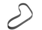 Multi Rib Belt