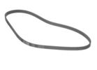 Multi Rib Belt
