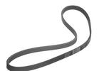 Multi Rib Belt