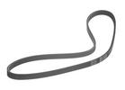 Multi Rib Belt