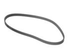 Multi Rib Belt