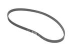 Multi Rib Belt
