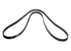 Accessory Belt Tensioner