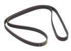 Multi Rib Belt
