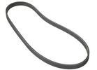 Multi Rib Belt