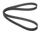 Multi Rib Belt
