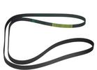 Multi Rib Belt