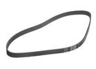 Multi Rib Belt