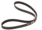 Multi Rib Belt