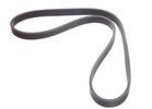 Multi Rib Belt