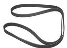 Multi Rib Belt
