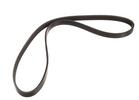 Multi Rib Belt