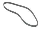 Multi Rib Belt