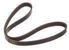 Multi Rib Belt