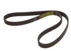 Multi Rib Belt