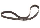 Multi Rib Belt