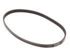Multi Rib Belt