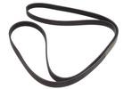 Multi Rib Belt