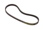 Multi Rib Belt