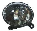 Fog Light Assembly, Driver Side